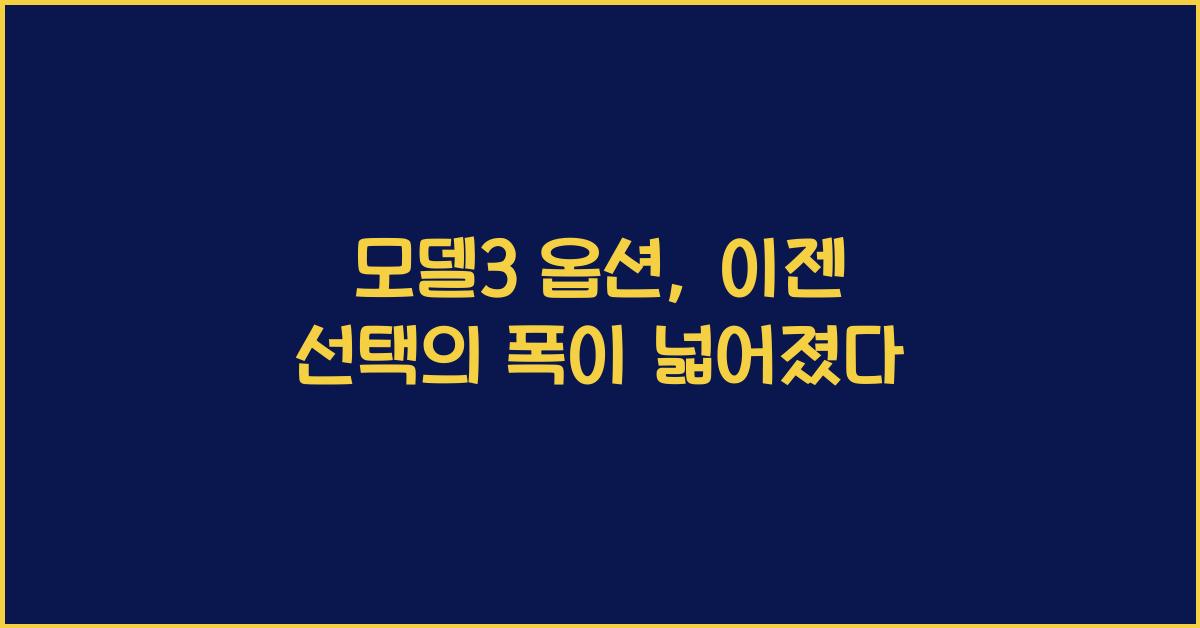 모델3 옵션