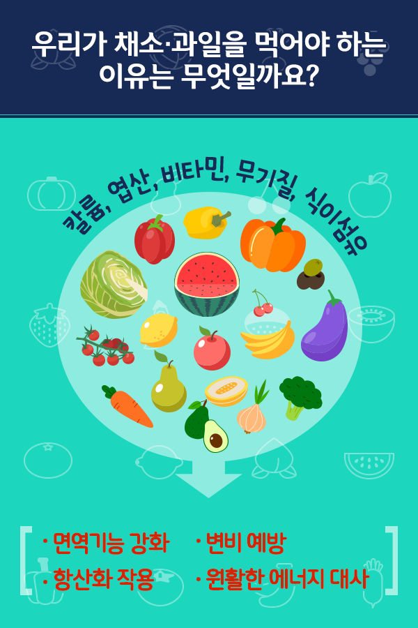 채소 과일의 효능