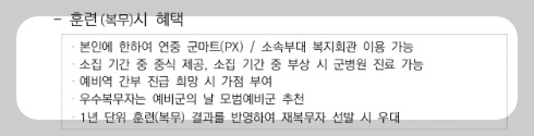 비상근예비군 혜택