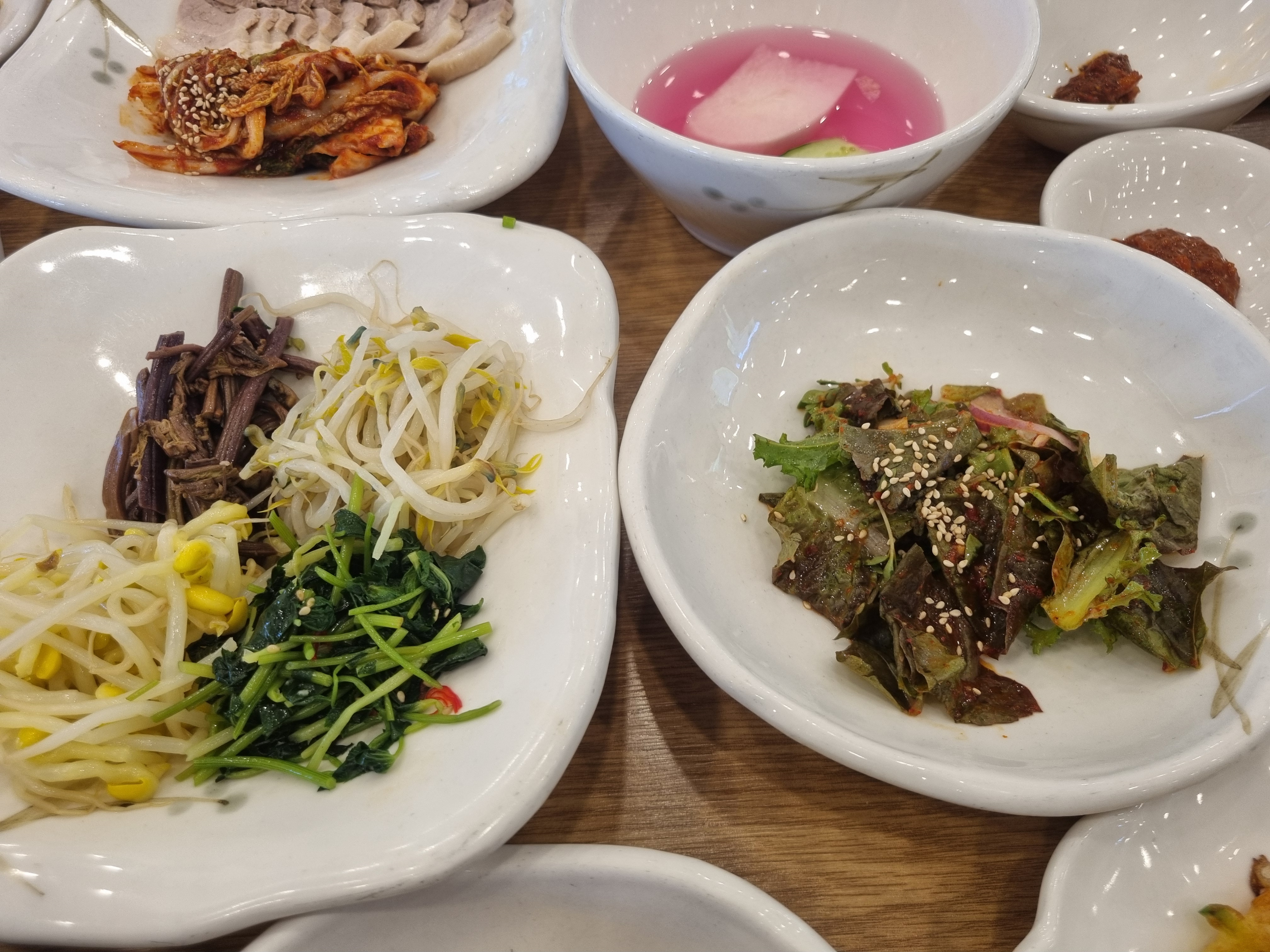 벽오동
