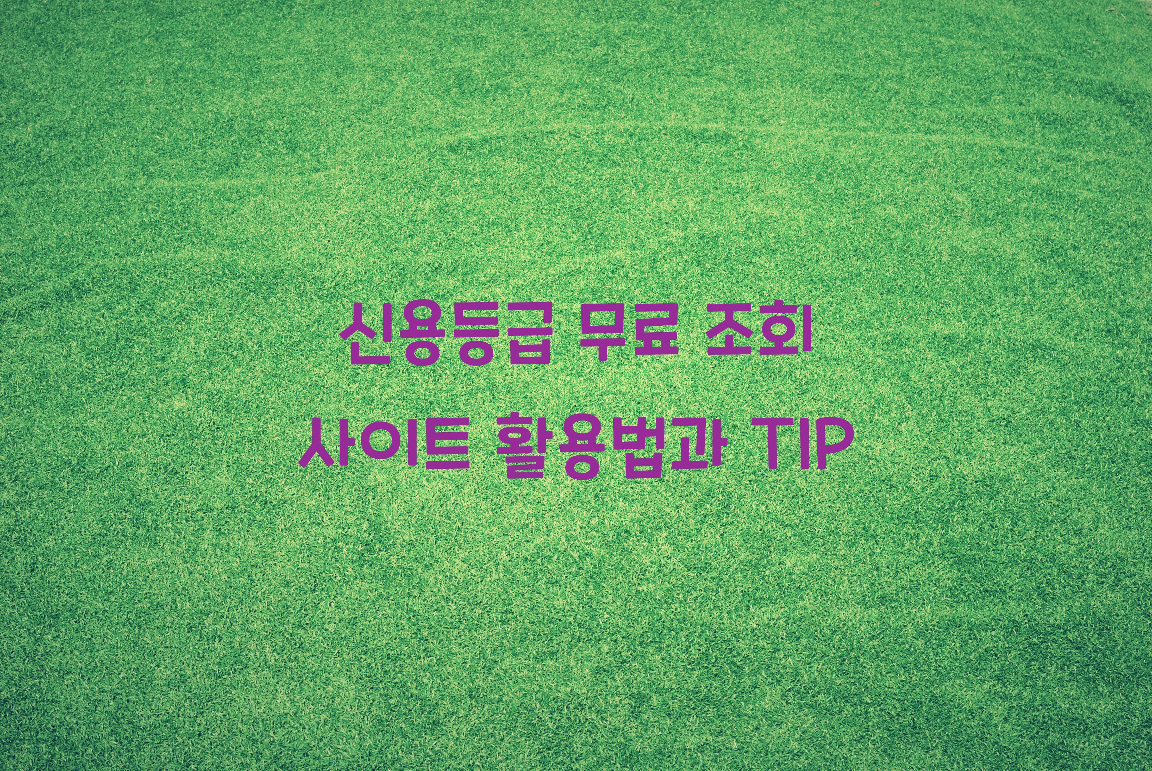 신용등급 무료 조회 사이트