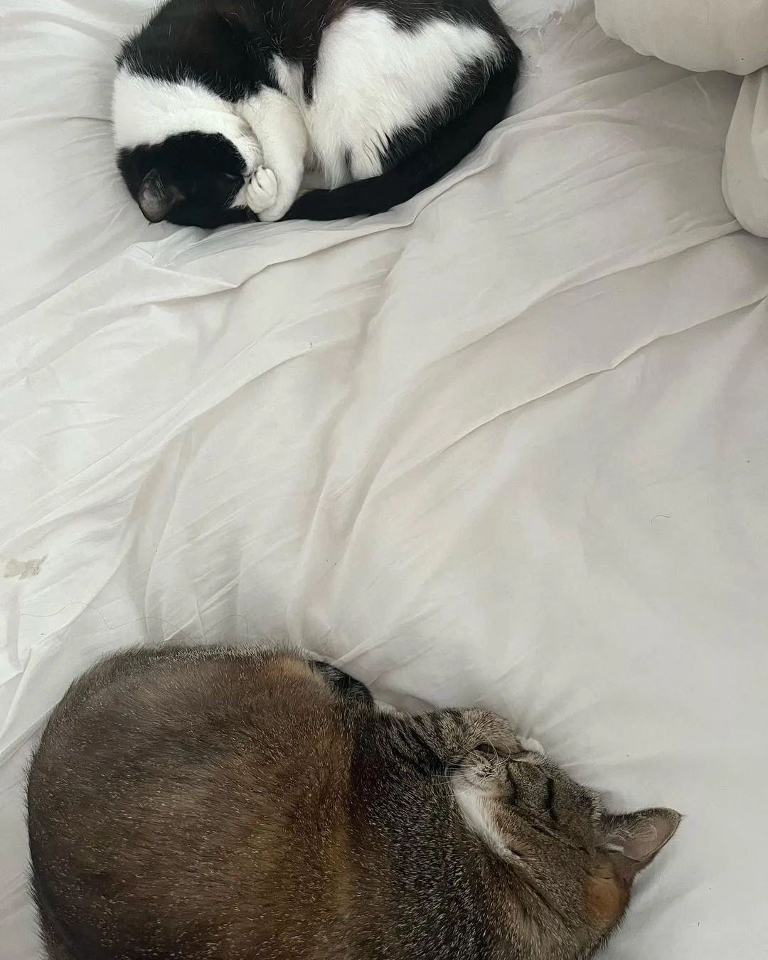 박지연_인스타그램_이미지