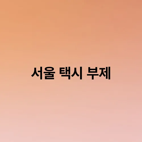 서울 택시 부제