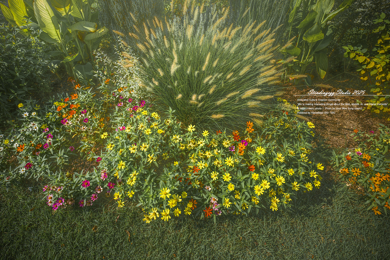 #세종 #수목원 #세종수목원 #온실 #꽃