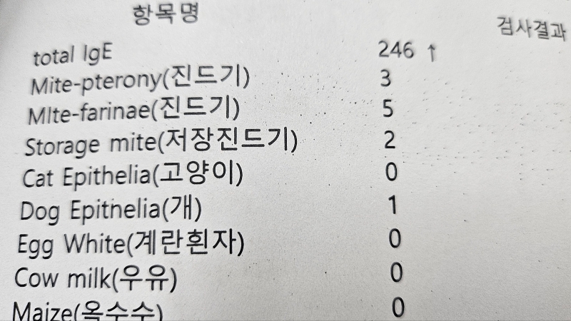 마스트검사결과 1