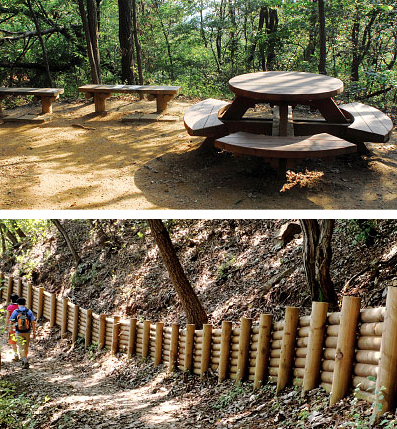 수리산 둘레길 중 숲속길 사진