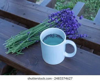 라벤더 재배 배수 확보 햇빛 관리 향 오래 유지_5