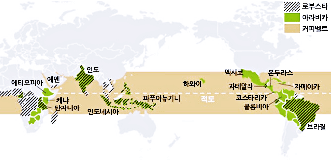 커피산지-품종