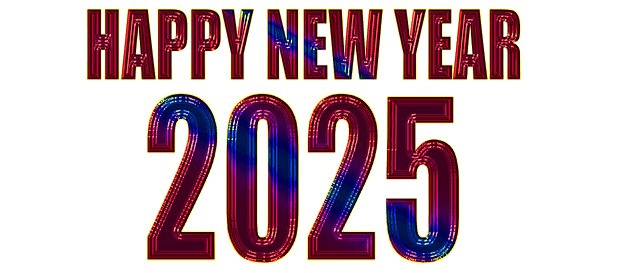 2025년 새해 목표 추천