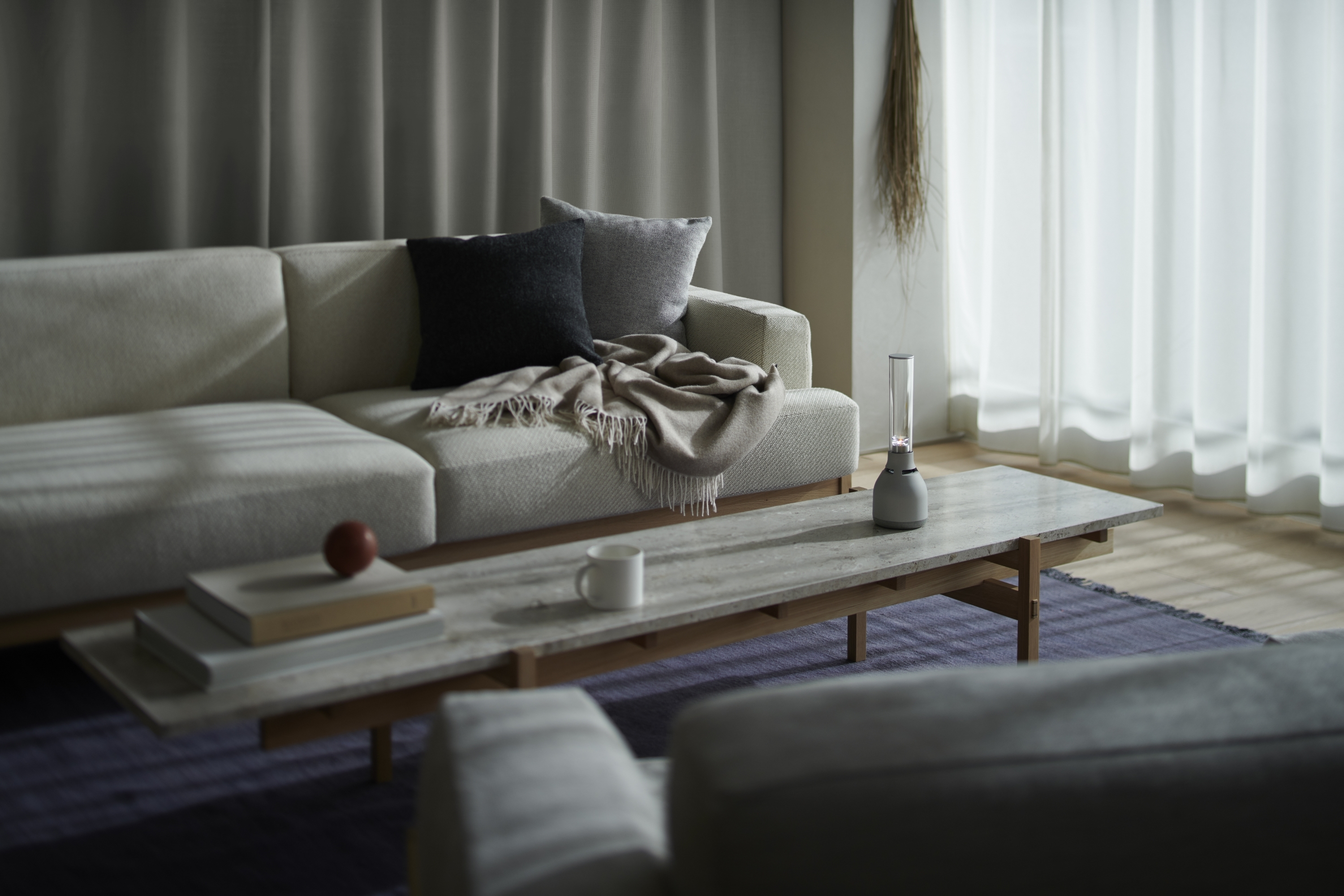 거실 인테리어 소품 소니 스피커 LSPX-S3