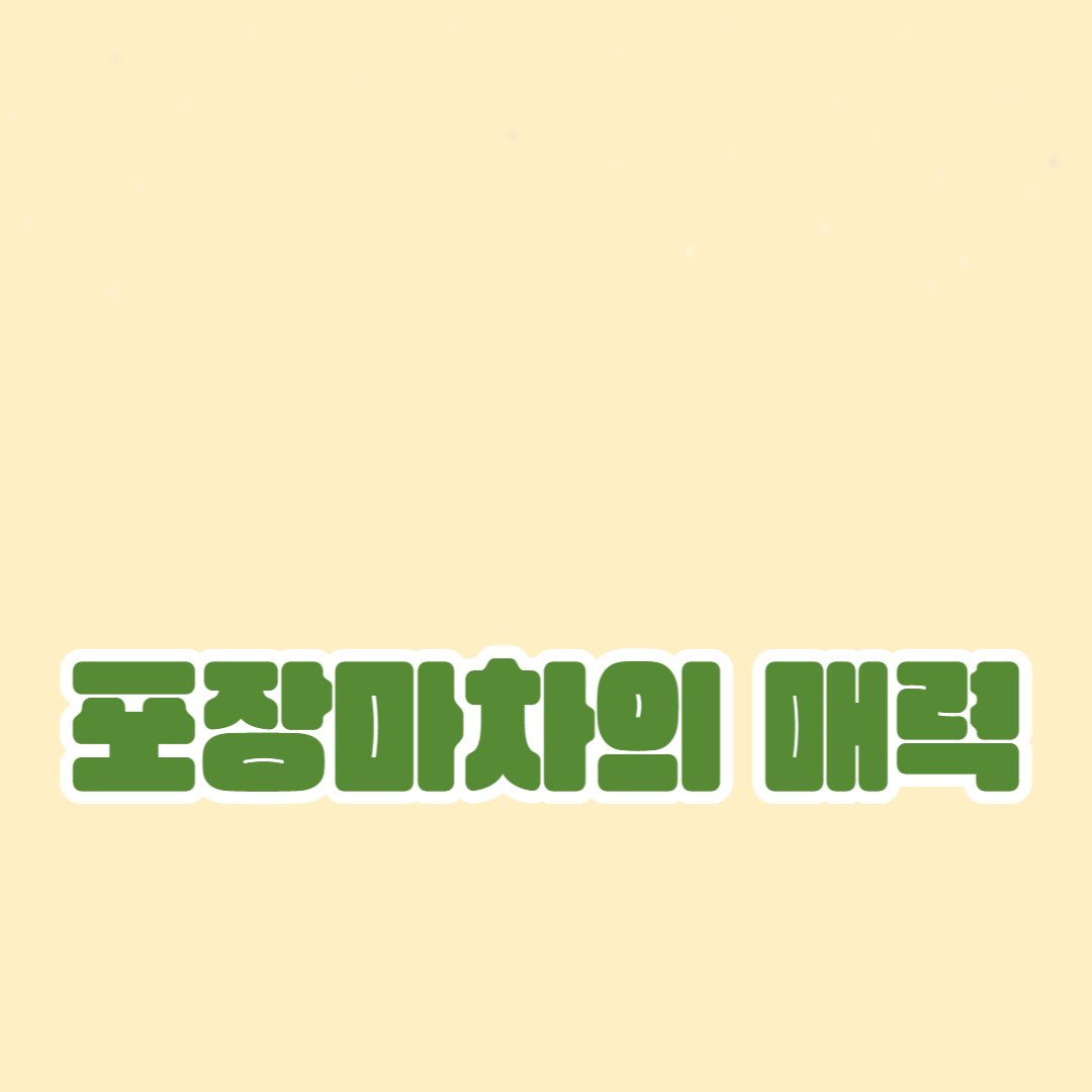 포장마차의 매력: 분위기와 맛의 조화
