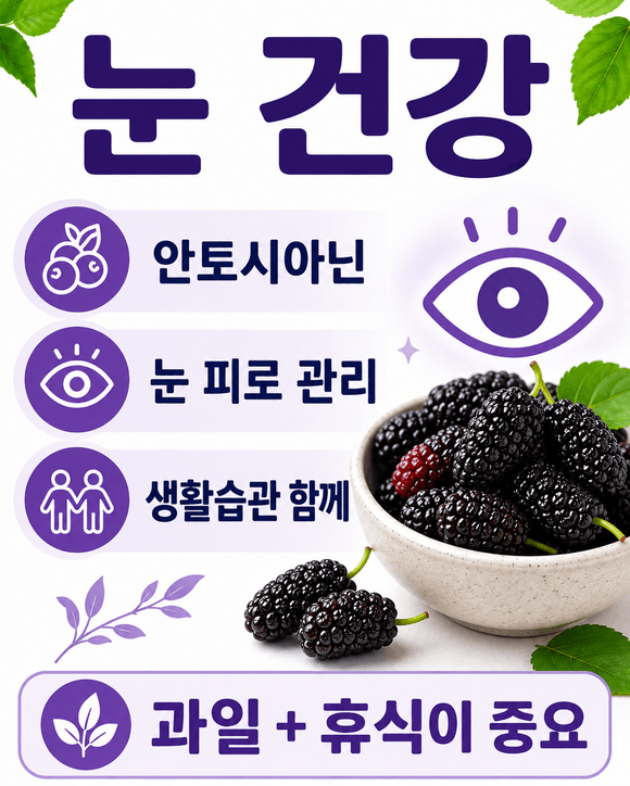 오디 효능