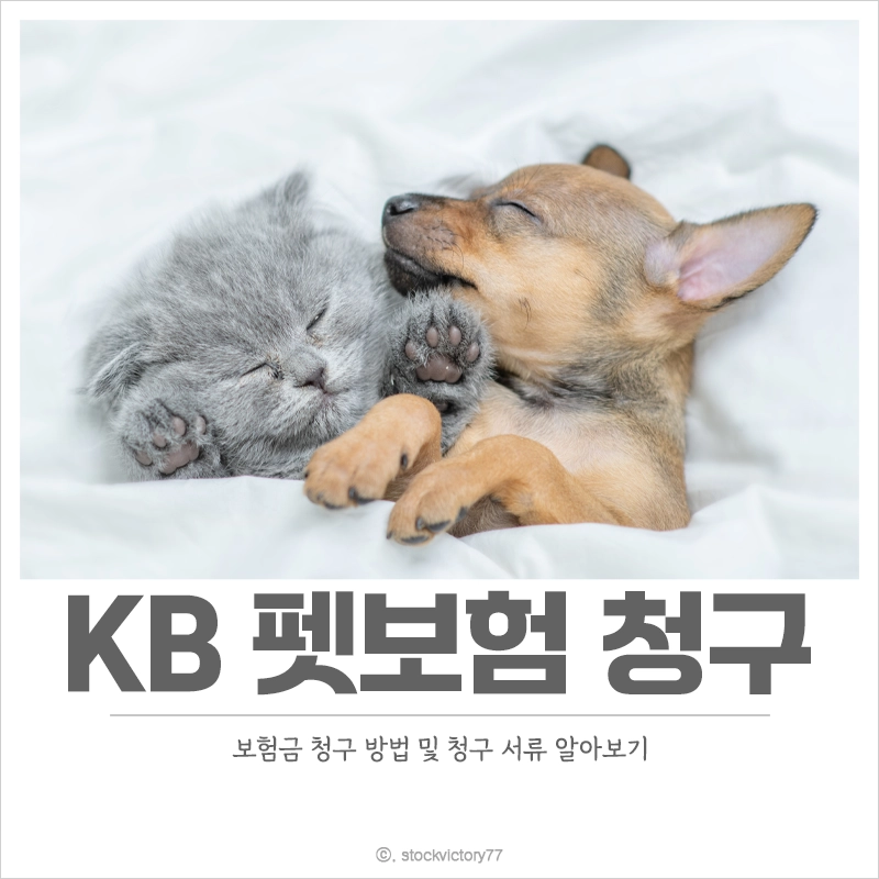 KB펫보험-청구-서류-보험금-청구