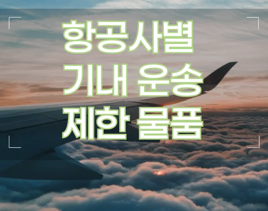 항공사별 기내 운송 제한 물품
