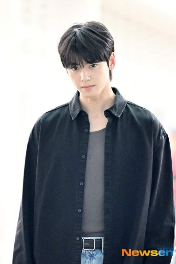차은우 130억 추징금 폭탄 터진 진짜 이유, 경기 강화도 1인 기획사 편법 감면 논란과 국세청 세무조사 핵심 총정리