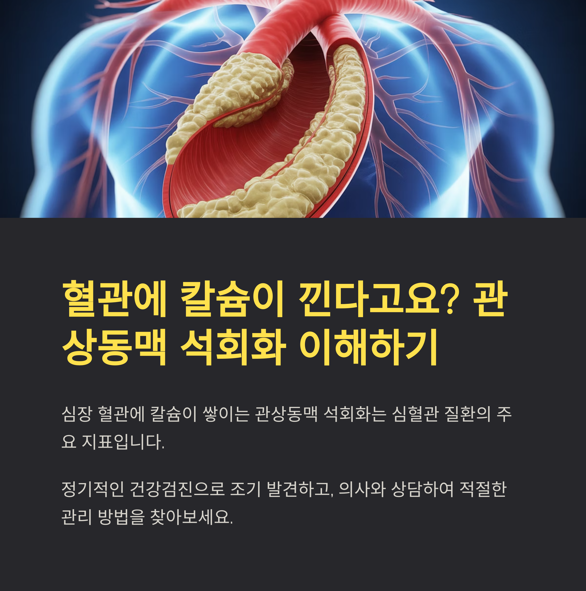 “혈관에 칼슘이 낀다고요?” 관상동맥 석회화의 원인과 줄이는 방법 총정리