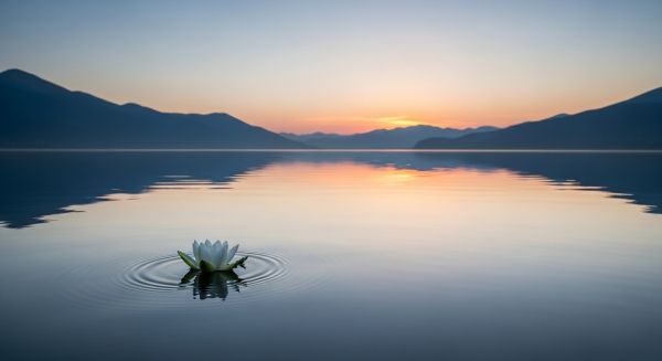 고요한 내면의 평화를 상징