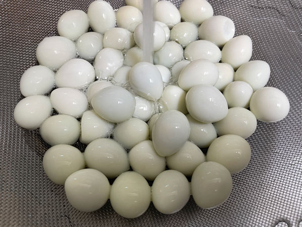 메추리알 세척