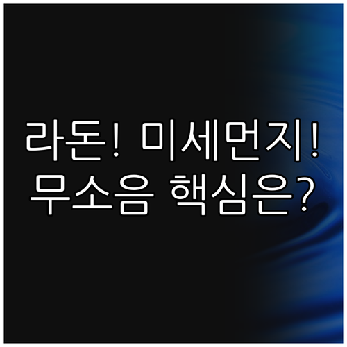 라돈 미세먼지 완벽 제거법 무소음 환..