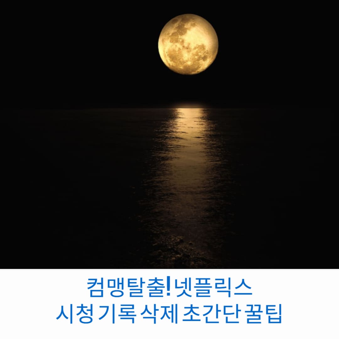 컴맹탈출-넷플릭스-시청-기록-삭제-초간단-꿀팁-썸네일