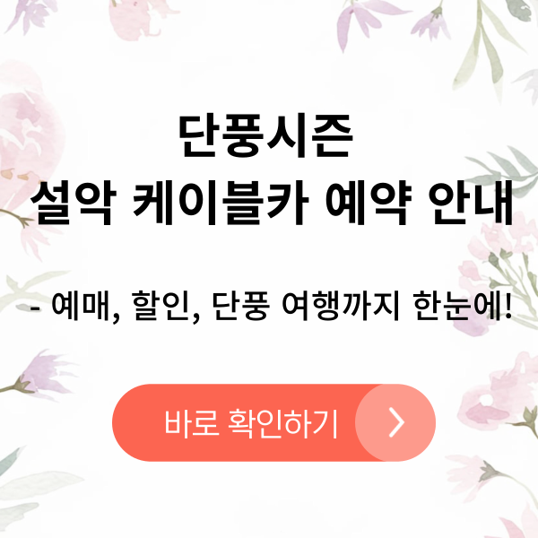 설악 케이블카 예약 가이드 &ndash; 예매, 할인, 단풍 여행까지 한눈에! , 국내 케이블카 비교 검토, 속초 여행코스와 맛집 추천