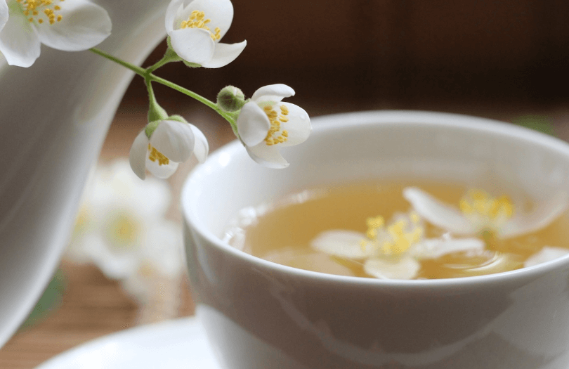 재스민차의 향기와 건강 효능, 재스민꽃과 재스민차 한잔