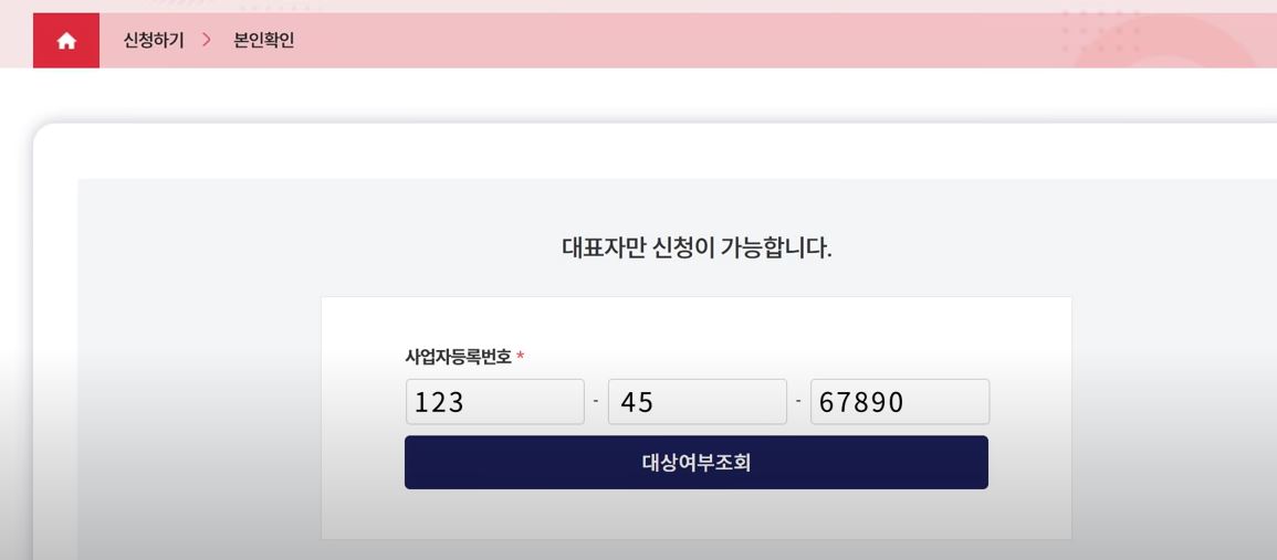 소상공인손실보전금