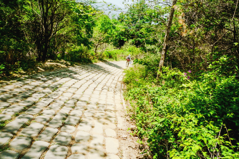 마늘로드 한국 명산 전북 남원 지리산 바래봉 등산 mountain hiking