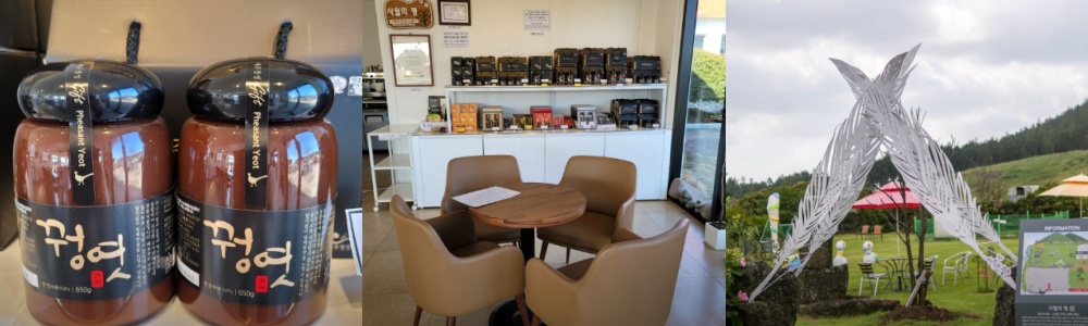 생생정보통 오늘방송(3월 11일) 제주 두모리에피싱샵,성읍민속마을,늘은녹차한잔,사월의꿩,비케이브