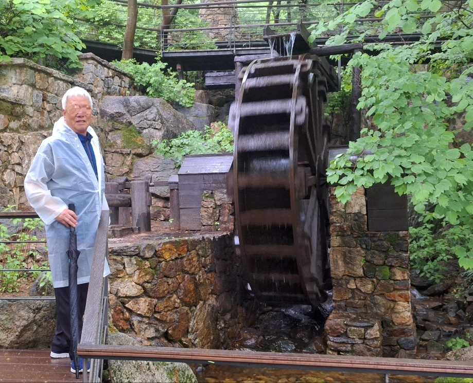 화담숲-벚꽃-주차-8