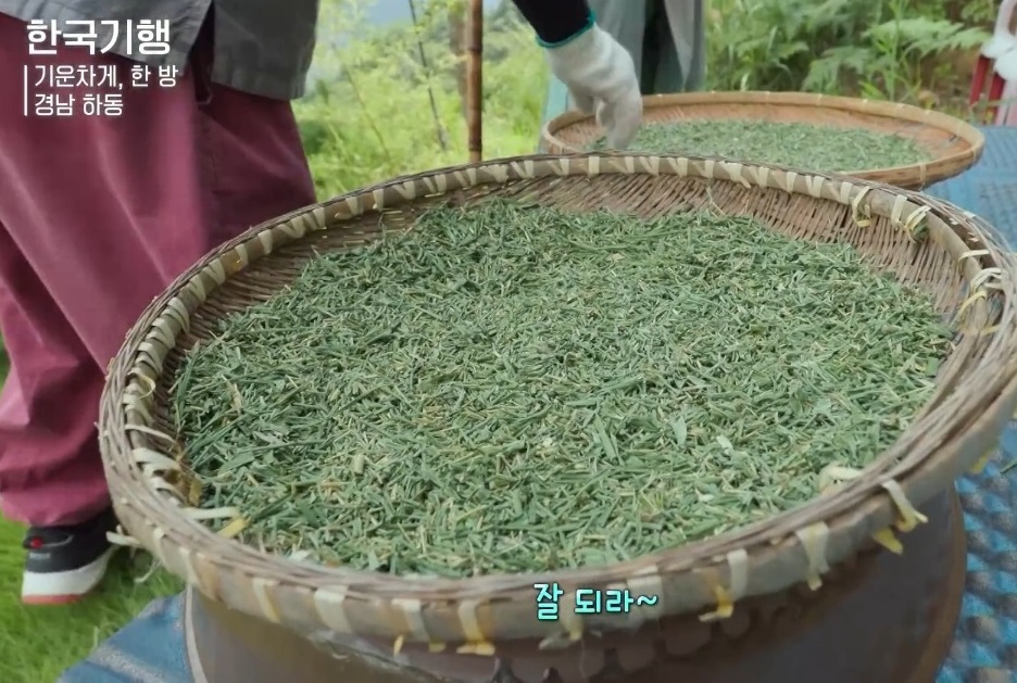 동네한바퀴-하동-오죽차-오죽발효차-주해수