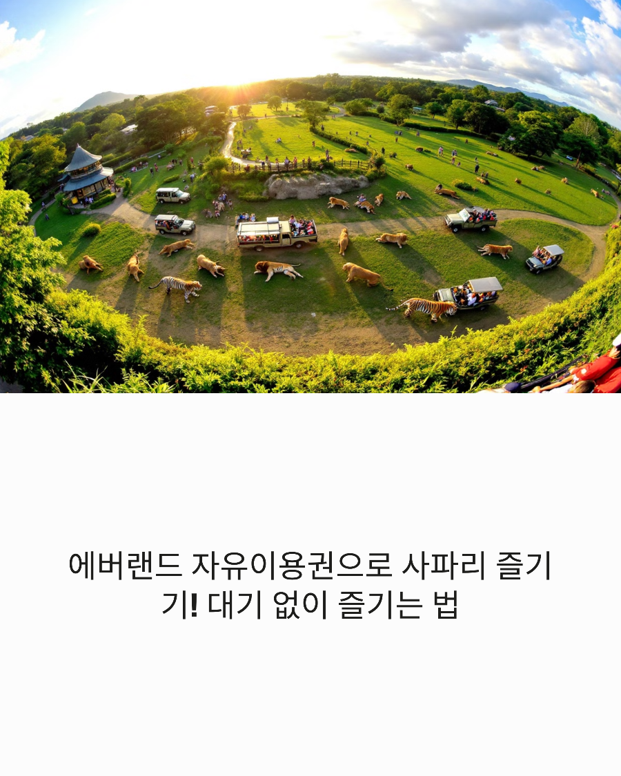에버랜드 자유이용권으로 사파리 즐기기! 대기 없이 즐기는 법