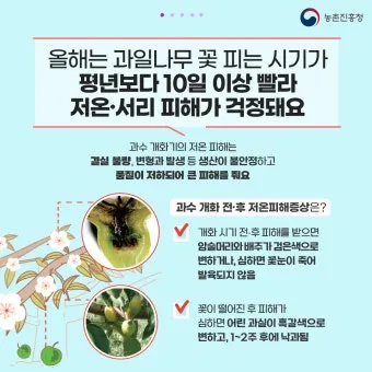 서리 발생 시기 농작물 보온 비닐 덮기 텃밭 관리_8