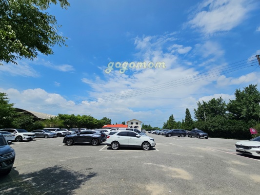 아그로랜드 주차장