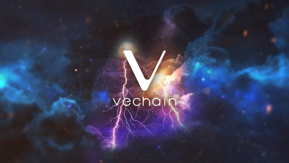 비체인(VeChain) VET 코인 2024년 전망