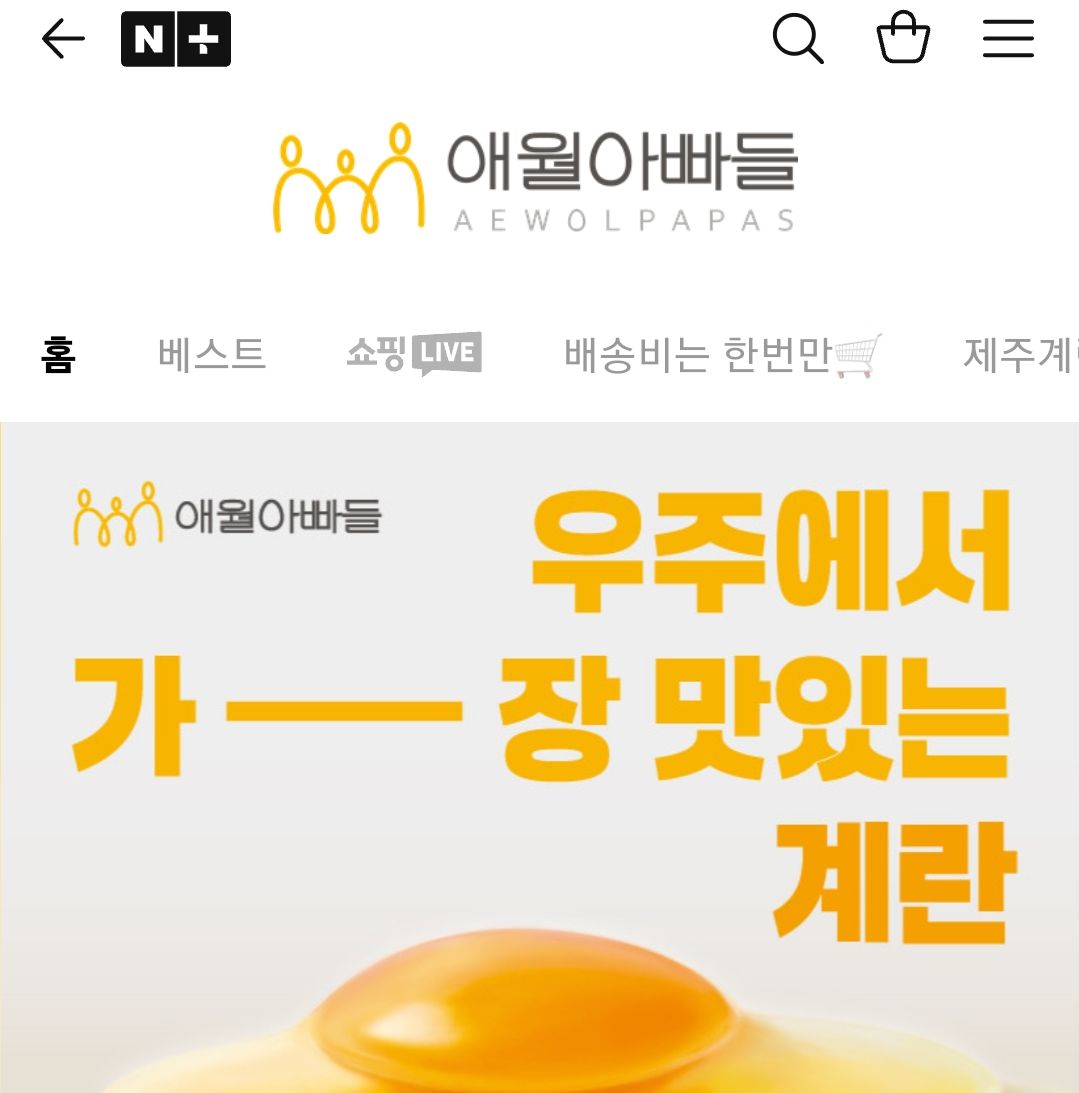 생방송투데이 제주 달걀 공장