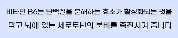  비타민 B6는 단백질을 분해하는 효소가 활성화되는 것을 막고, 뇌에 있는 세로토닌의 분비를 촉진시켜 줍니다.