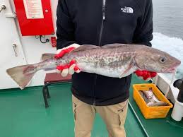 역류성식도염에 좋은 음식