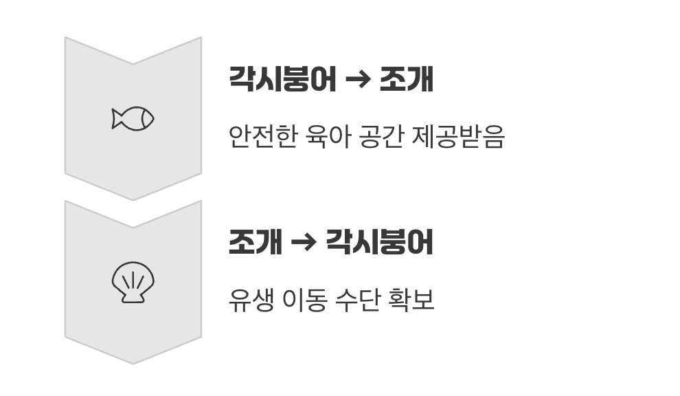 서로 돕고 사는 상생의 비밀