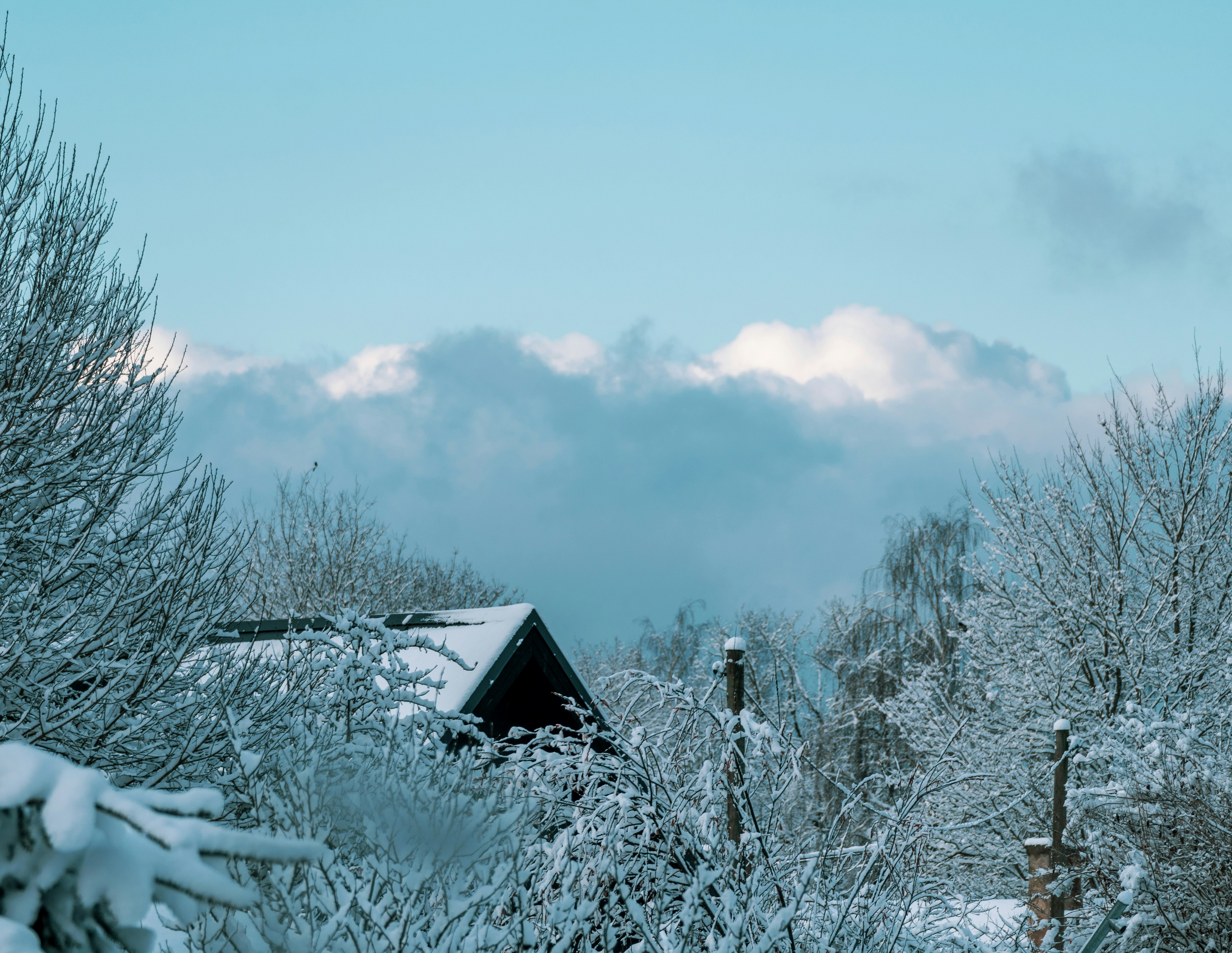 눈 덮인 산속 외딴집 관련 사진