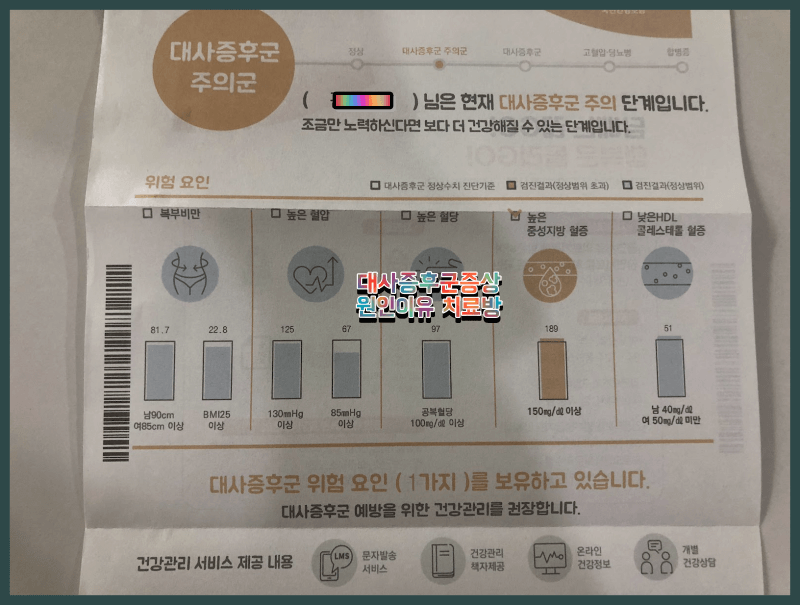 대사증후군 진단