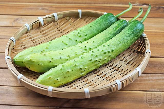 오이 효능 오이 매일 먹으면