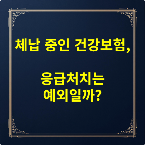 체납 중인 건강보험, 응급처치는 예외일까