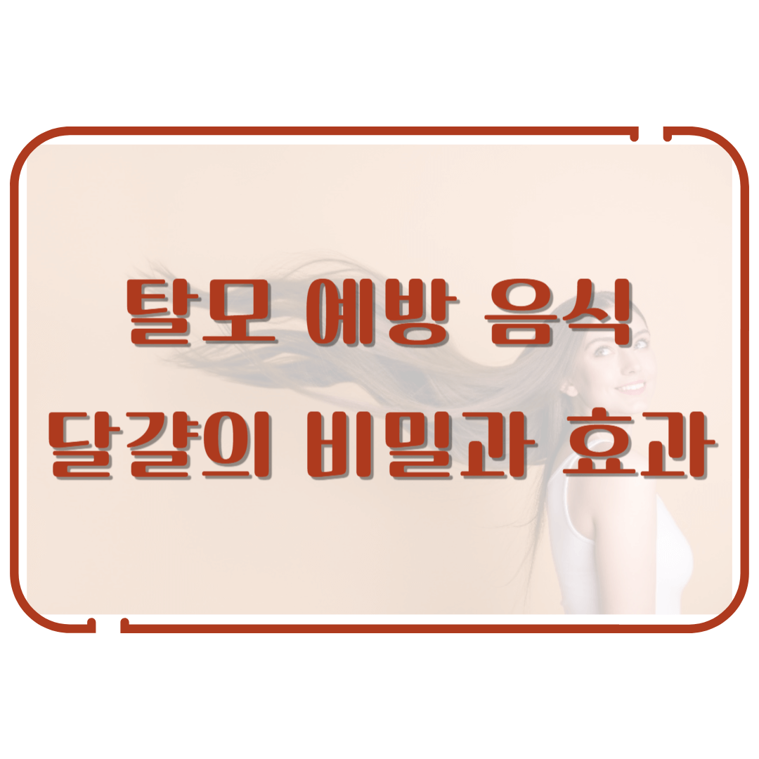 탈모 예방 음식 - 달걀의 비밀과 효과