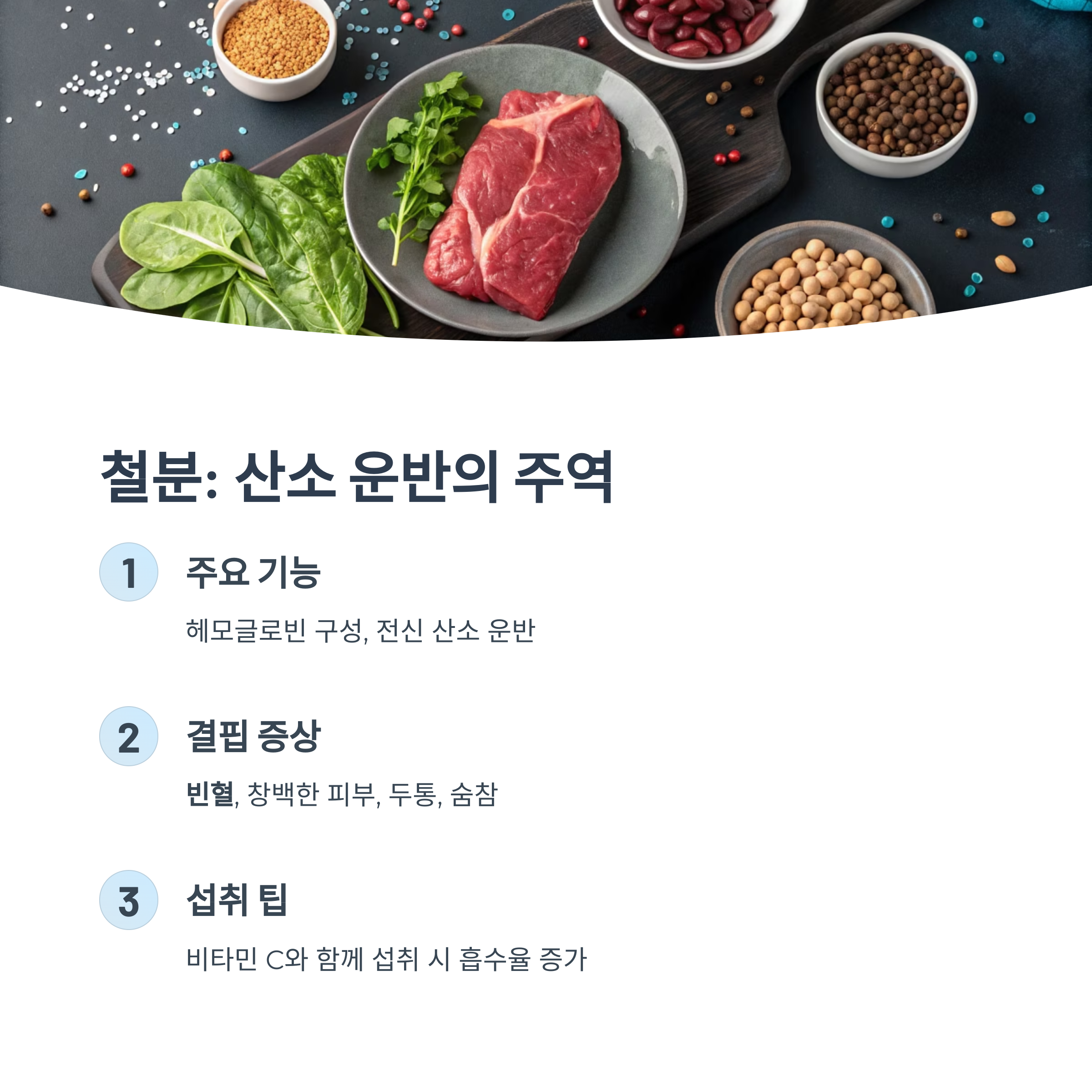 철분 : 산소 운반의 주역