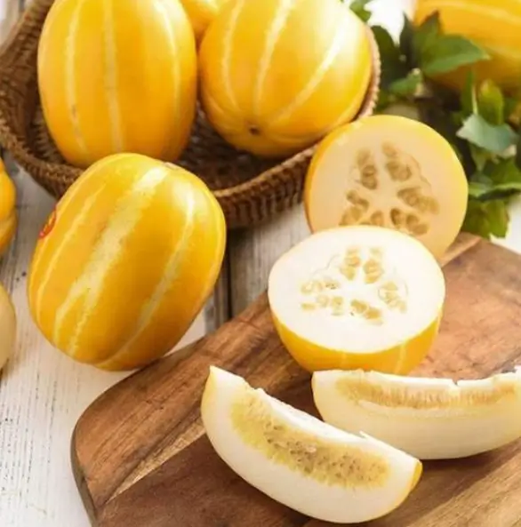 딸기 참외 자두