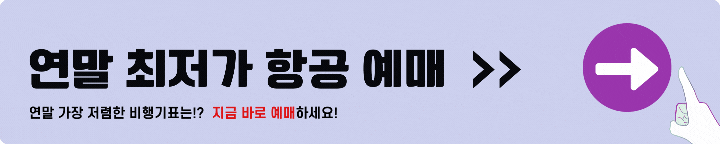 연말 최저가 항공권