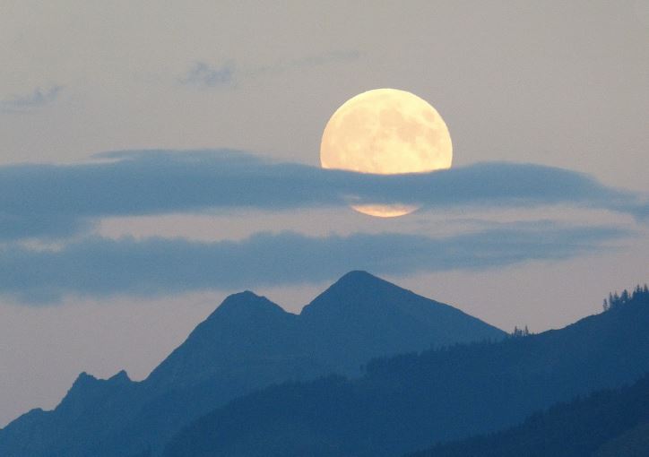 정월대모름 맞이, 인기행사와 축제 총정리