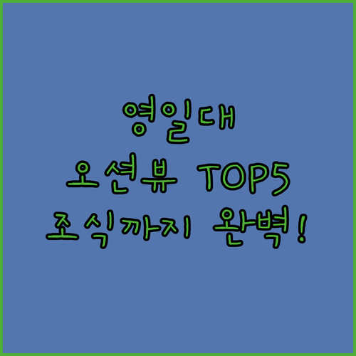 포항 영일대 숙소 추천 오션뷰 호텔 ..