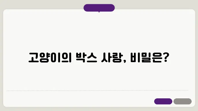 고양이는 왜 박스 안에 들어가는 걸 좋아하나요?